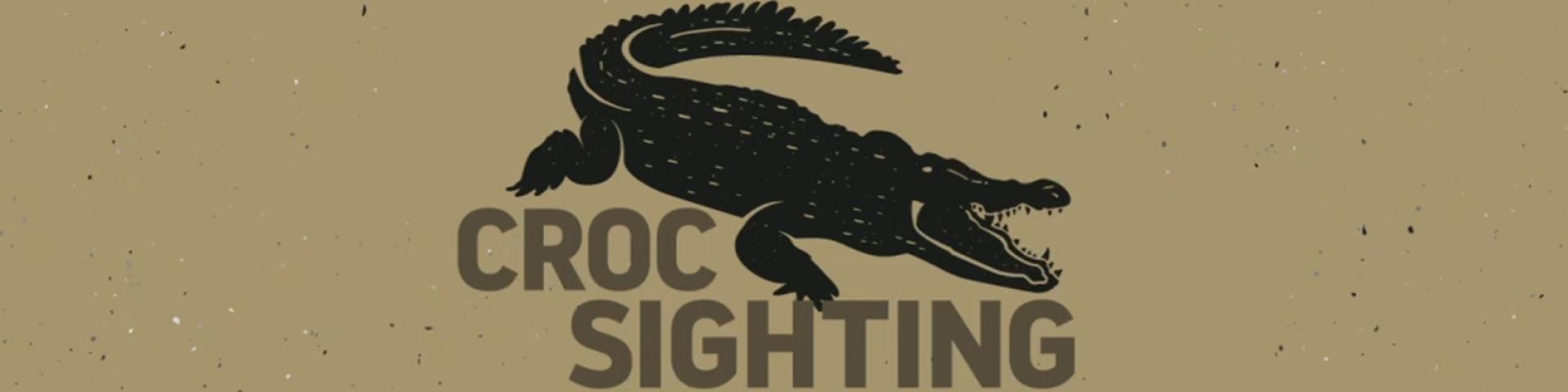 Crocodile sighting 
