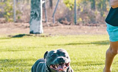 Marlow Lagoon Dog Park
