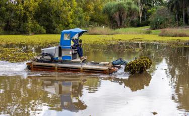 Harvester in action on the lake