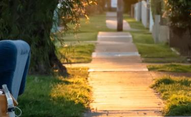 Pre-Cyclone Clean-Up Palmerston