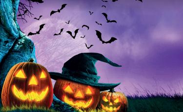 Ghosting Gatherings
