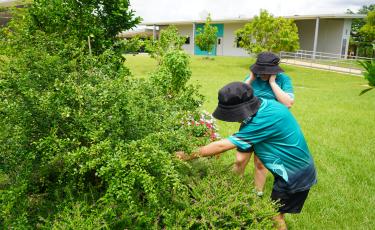 The Zuccoli Primary School Community Garden