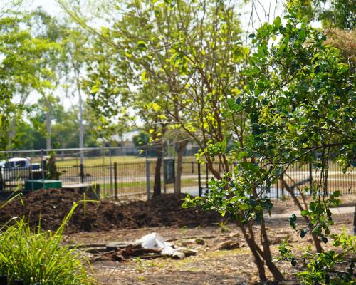 Gray Community Garden