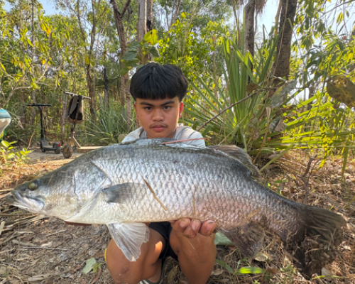 Palmerston Barra