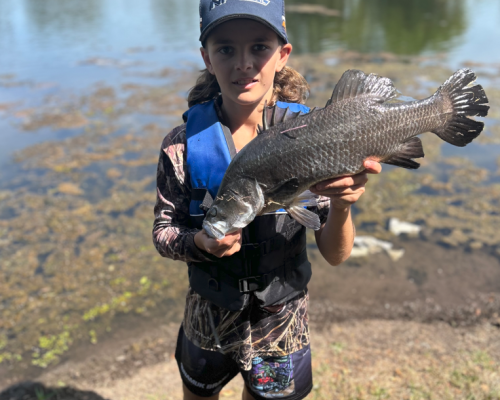 Palmerston Barra