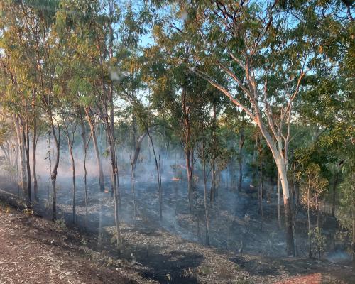 bushfire