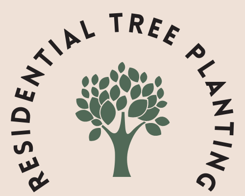 residential tree planting