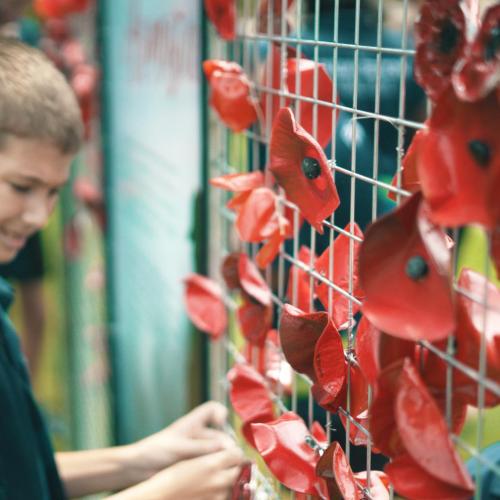 Poppy wall