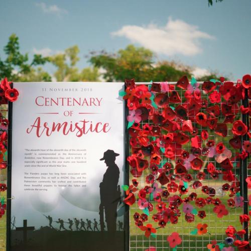 Poppy wall