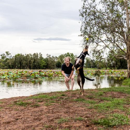 Marlow Lagoon Dog Park Improvements