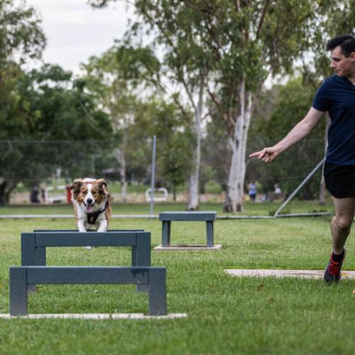 Marlow Lagoon Dog Park Improvements