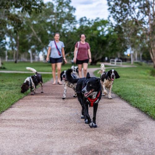 Marlow Lagoon Dog Park Improvements