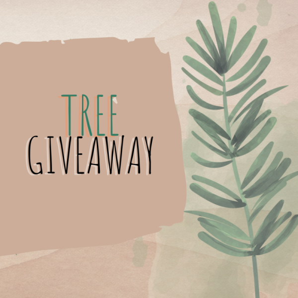 tree giveaway