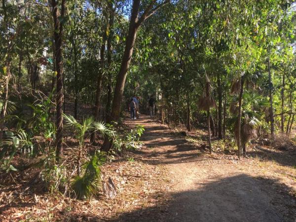 Palmerston Escarpment Walkway