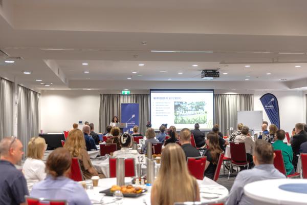 Business Newsletter - December 2025 Edition